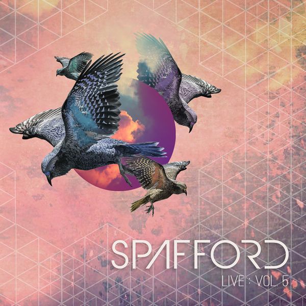 Spafford — Live Vol. 5 cover